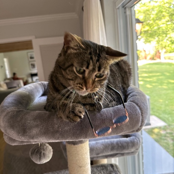 Meet your Posher, Barbara - Picture 15 of 16